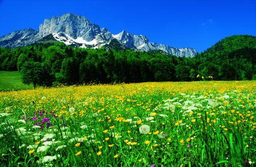 Der Blick von Bischofswiesen Richtung Untersberg